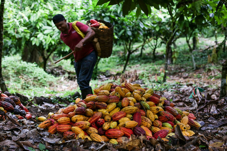 15611689685d0d8c4890d23_1561168968_3x2_md